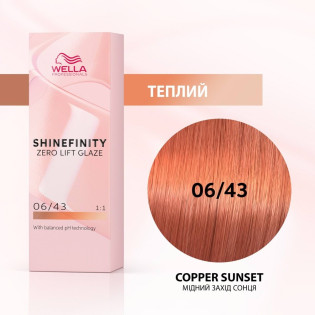 SHINEFINITY 06/43, 60ml